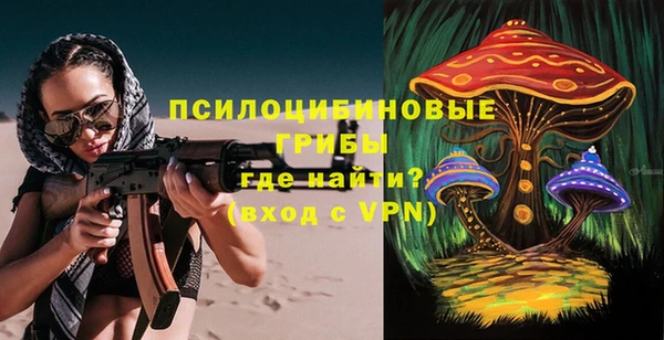 Альфа ПВП Алзамай