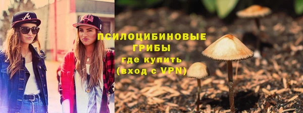 Альфа ПВП Алзамай