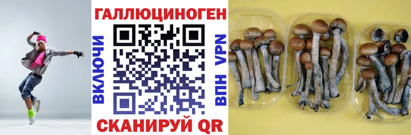 omg ссылки  Муром  Галлюциногенные грибы Magic Shrooms 