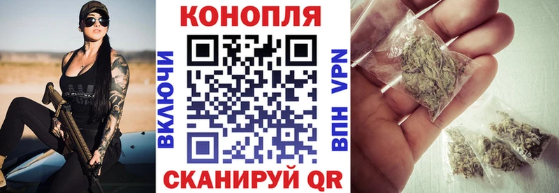 kraken вход  Муром  Шишки марихуана Bruce Banner 